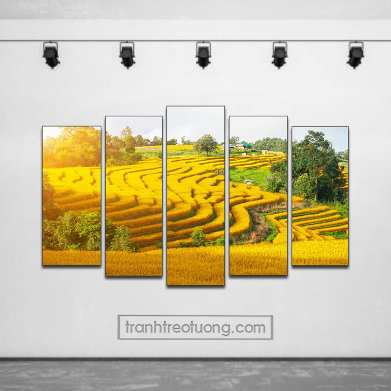 Mẫu tranh ruộng bậc thang lúa chín đẹp kiểu ghép bộ 5 tấm RBT1939