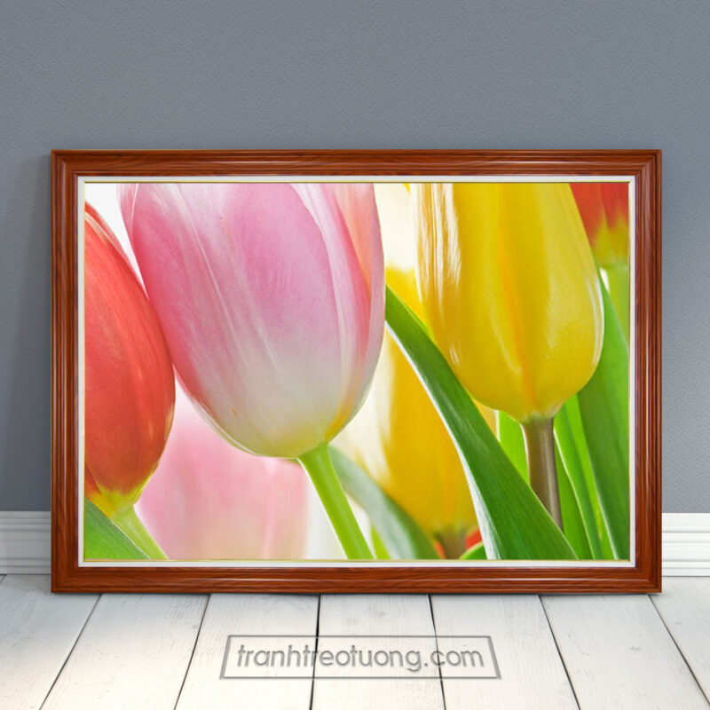 Bức tranh treo tường đẹp với màu sắc tươi tắn của những bông hoa tulip màu đỏ cam hồng vàng