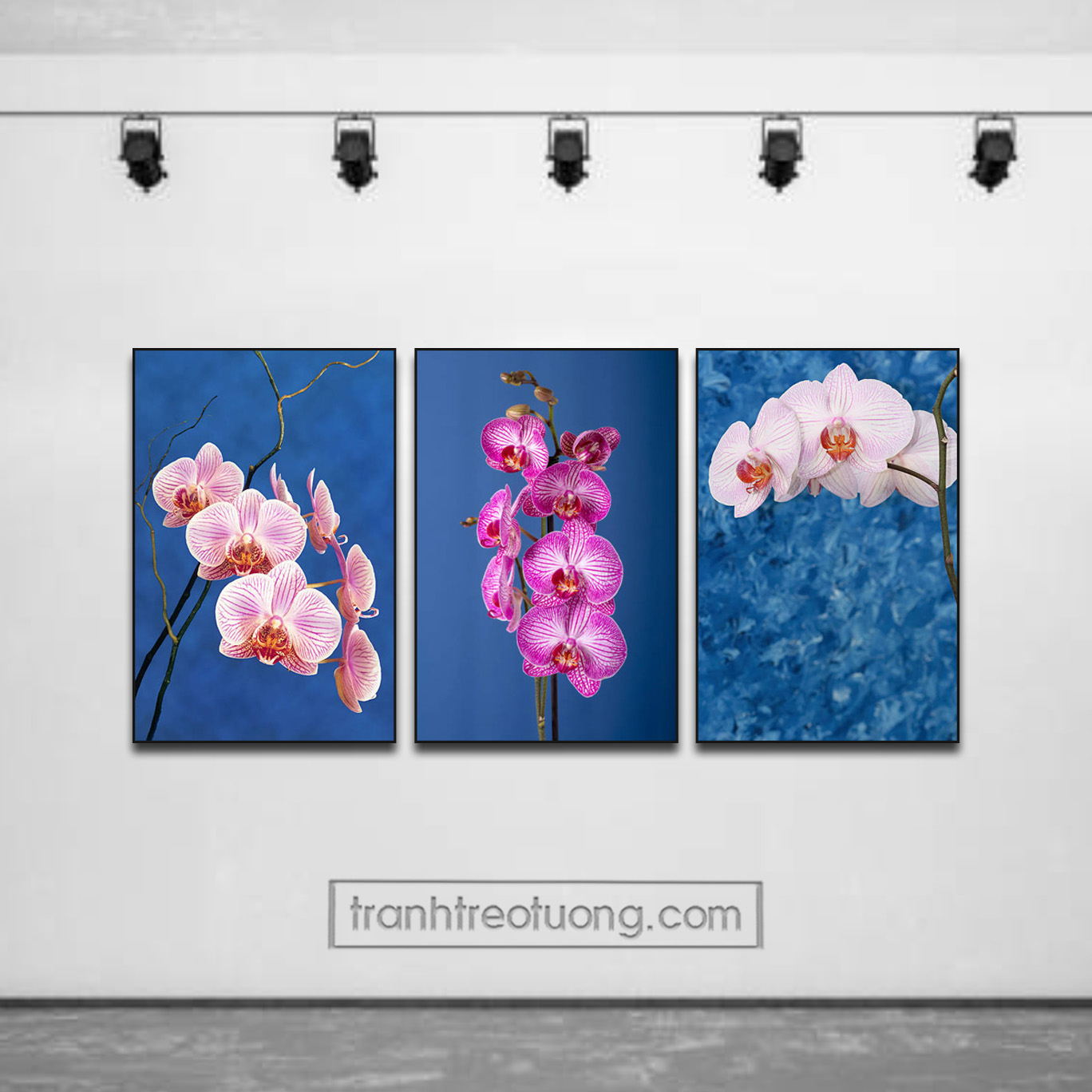 Tranh treo tường hoa lan đẹp kiểu ghép bộ 3 tấm trẻ trung hiện đại