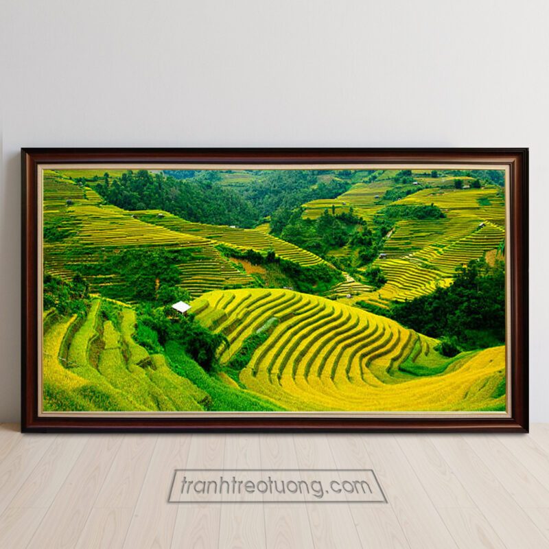 Mẫu tranh ruộng bậc thang đẹp khổ lớn hình ảnh những ruộng lúa chín trồng theo các triền đồi núi và cây cối xanh xen kẽ