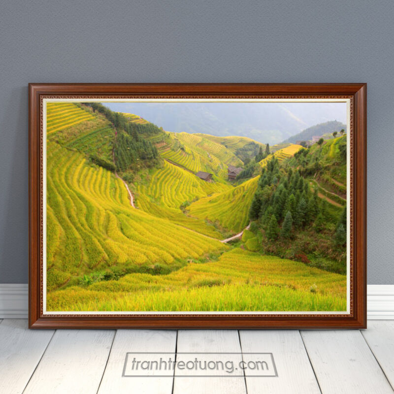Mẫu tranh ruộng bậc thang đẹp cả triền núi ngả sắc vàng của những ruộng lúa chín